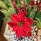 Glitzhome® 35" Christmas Poinsettia Floral Porch Tree in Red Container